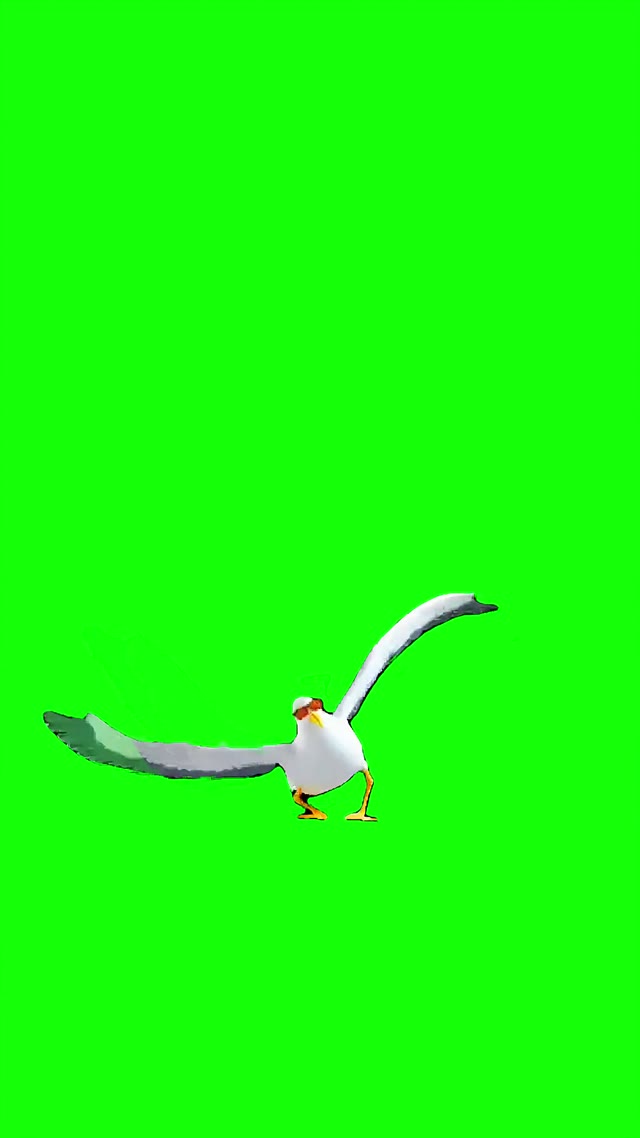 Gmod seagull dancing green screen