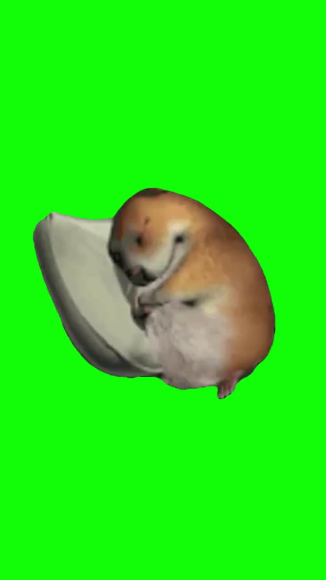 Go To Sleep  green screen