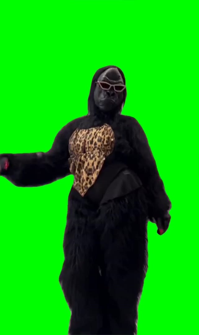 Gorilla dancing lets groove green screen
