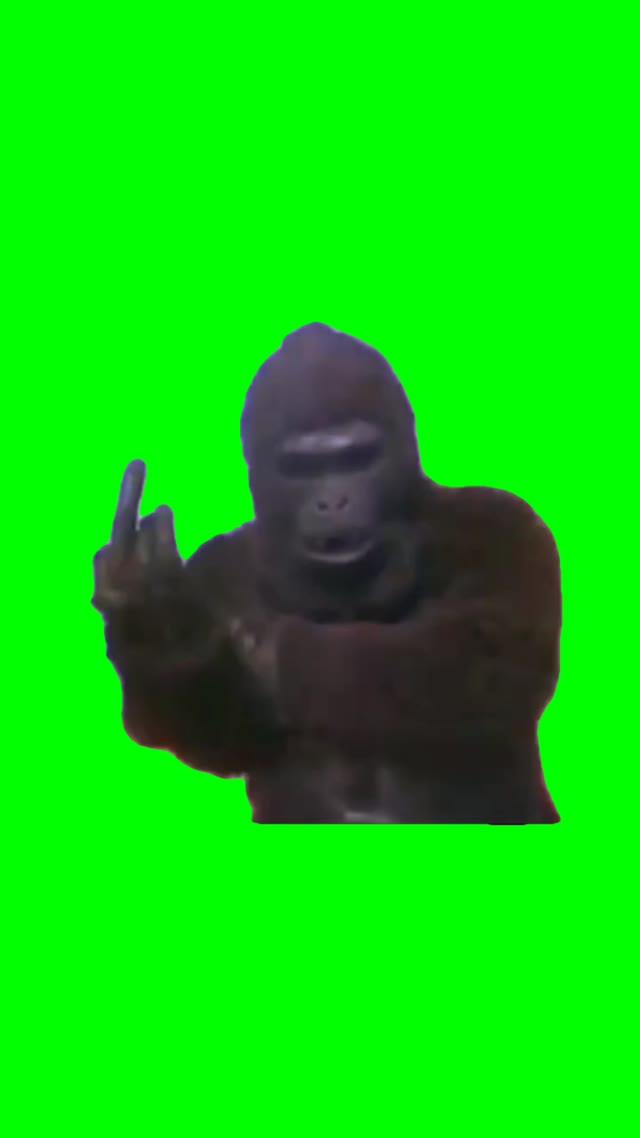 Gorilla showing the bird green screen