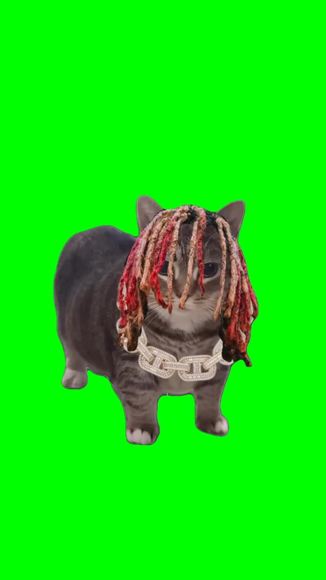 Gucci Gang Ooiiaa cat green screen