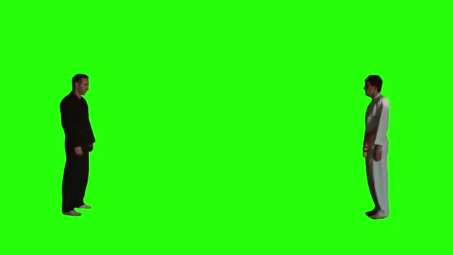 Gun To A Karate Fight green screen