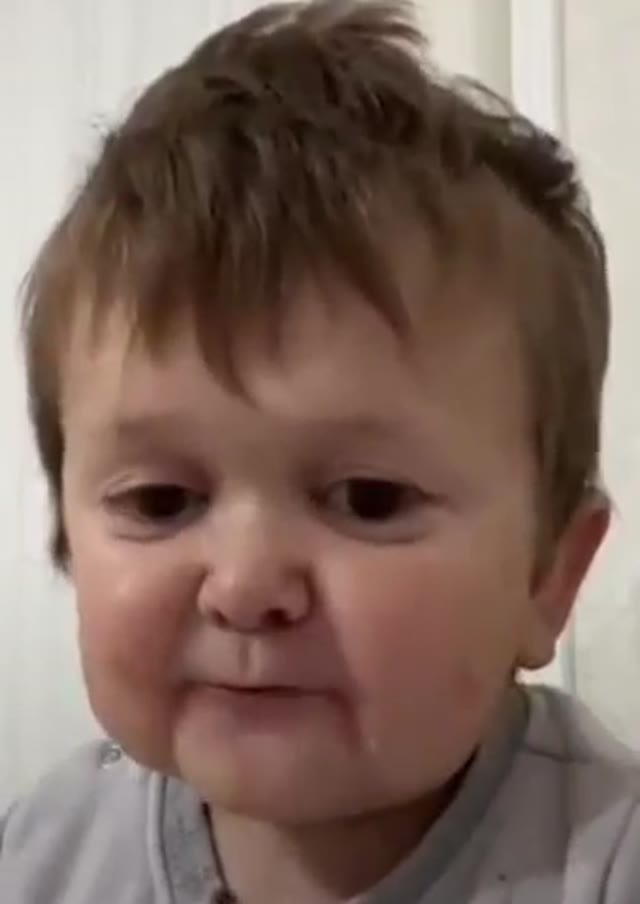 Hasbulla eating Video green screen