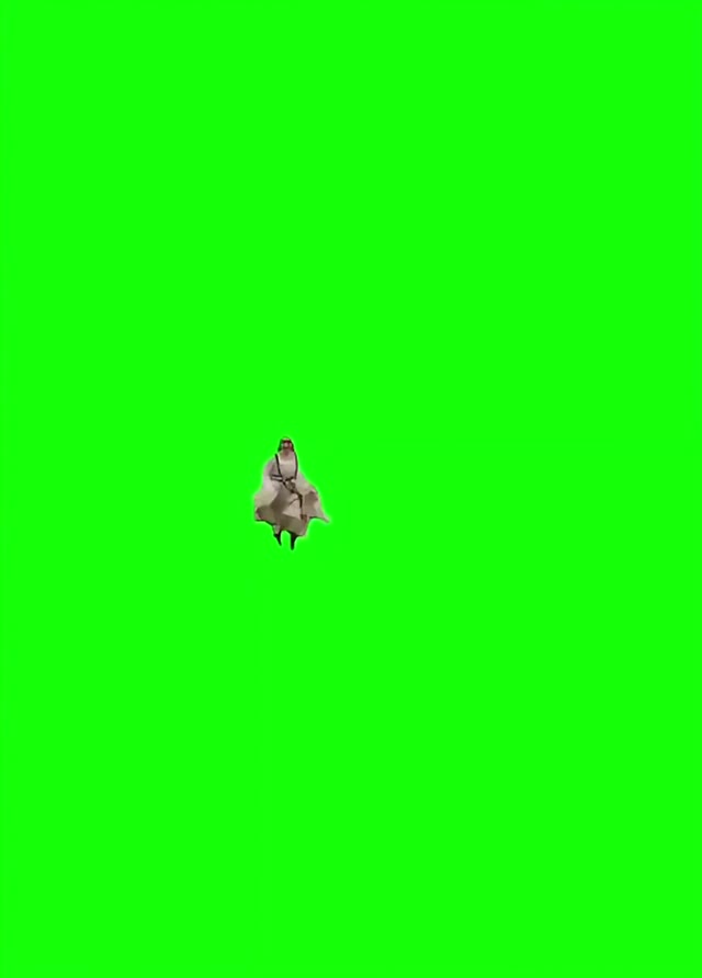 Hey hey hey 4k green screen