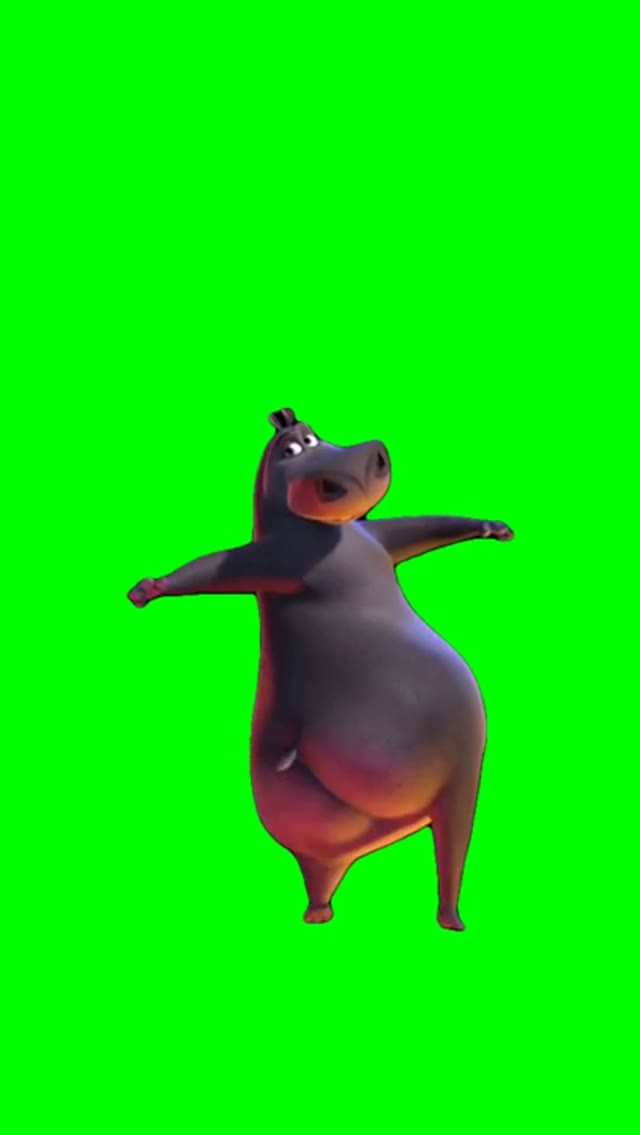 Hippo dancing  green screen