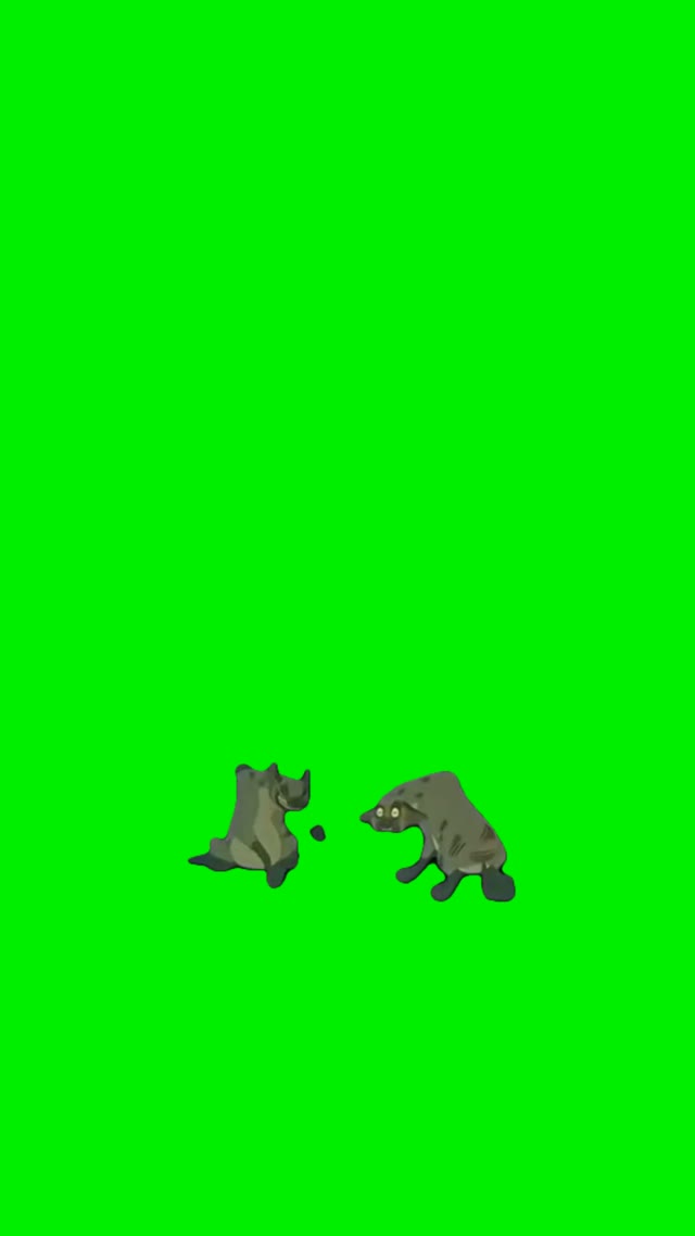 Hyenas laughing green screen