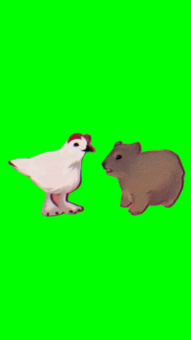 Hyrax and chicken talking green screen