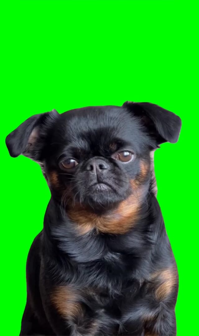 I need to keep an eye on you but I just want to sleep green screen