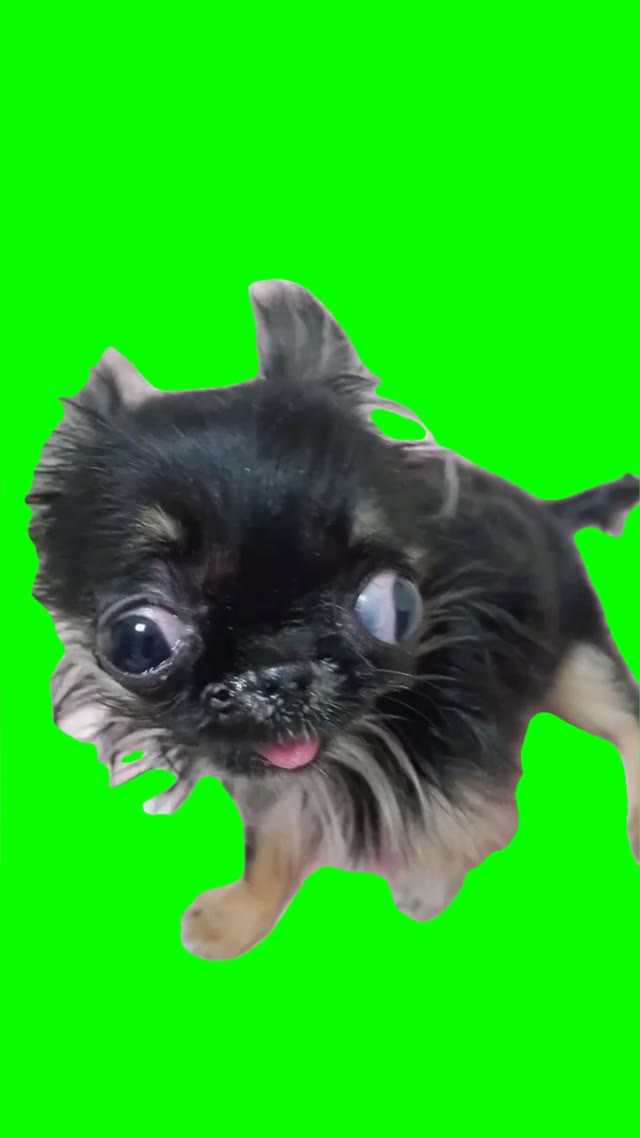 I woke up like this green screen