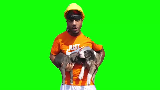 If You See These Dogs in Your Front Yard green screen