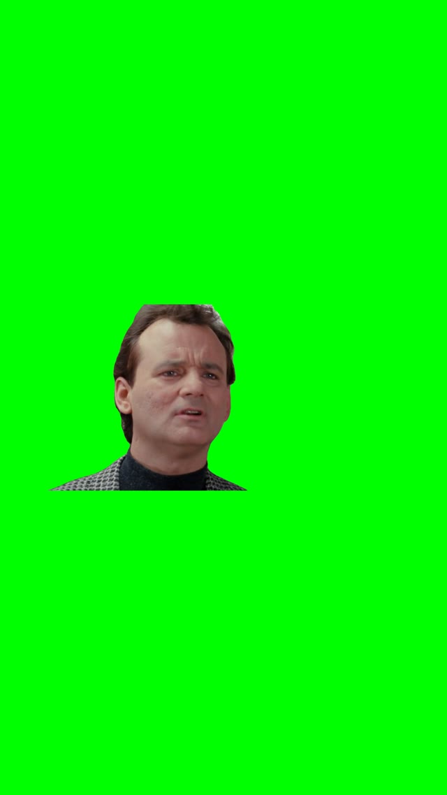 Im a voter green screen