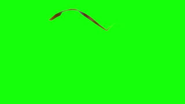 John20Cena20are20you20sure20about20that20Green20Screen green screen
