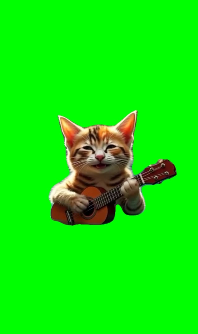Kitten playing guitar green screen