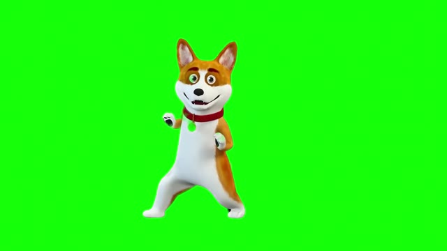 Kyoto dogee ko chuna laga green screen