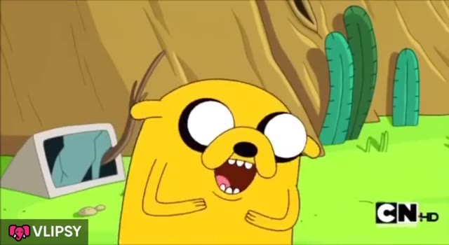 Laughing dog  green screen