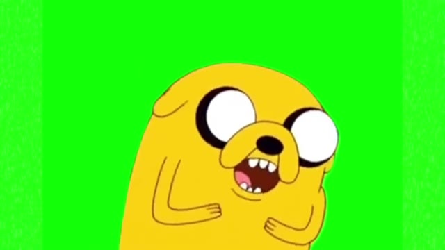 Laughing dog green screen