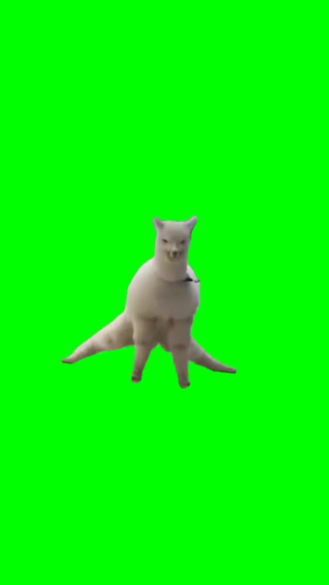Llama leg splits  green screen