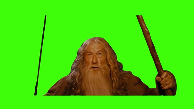 Lord Of The Rings You Shall Not Pass green screen