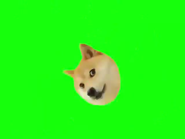 MLG Doge green screen