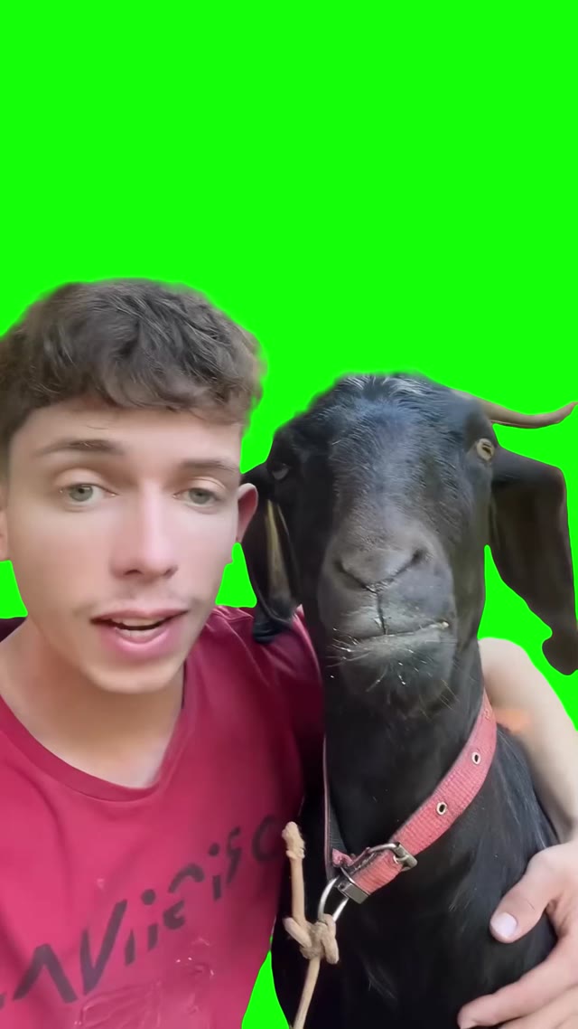 Man singing to a goat green screen