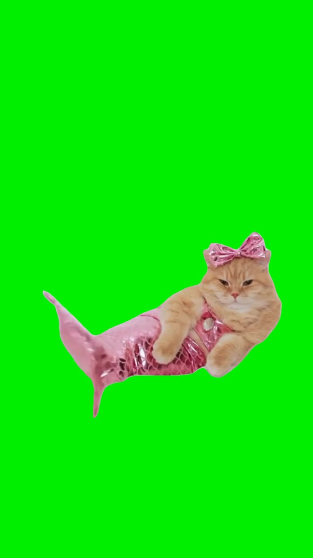 Mermaid cat green screen
