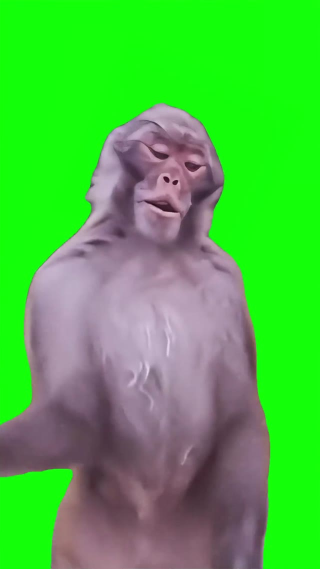 Monkey Bare Minimum  green screen