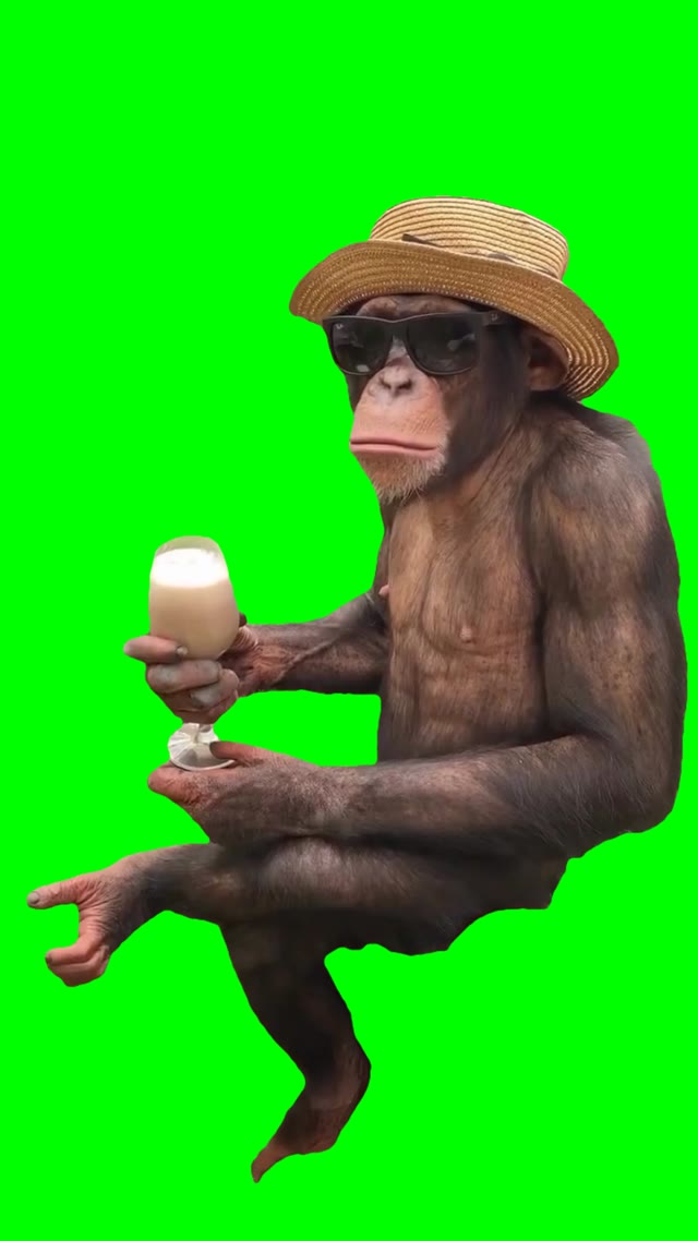Monkey Chilling green screen
