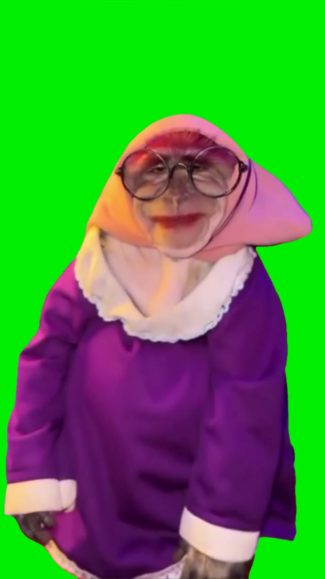 Monkey Rizzler green screen