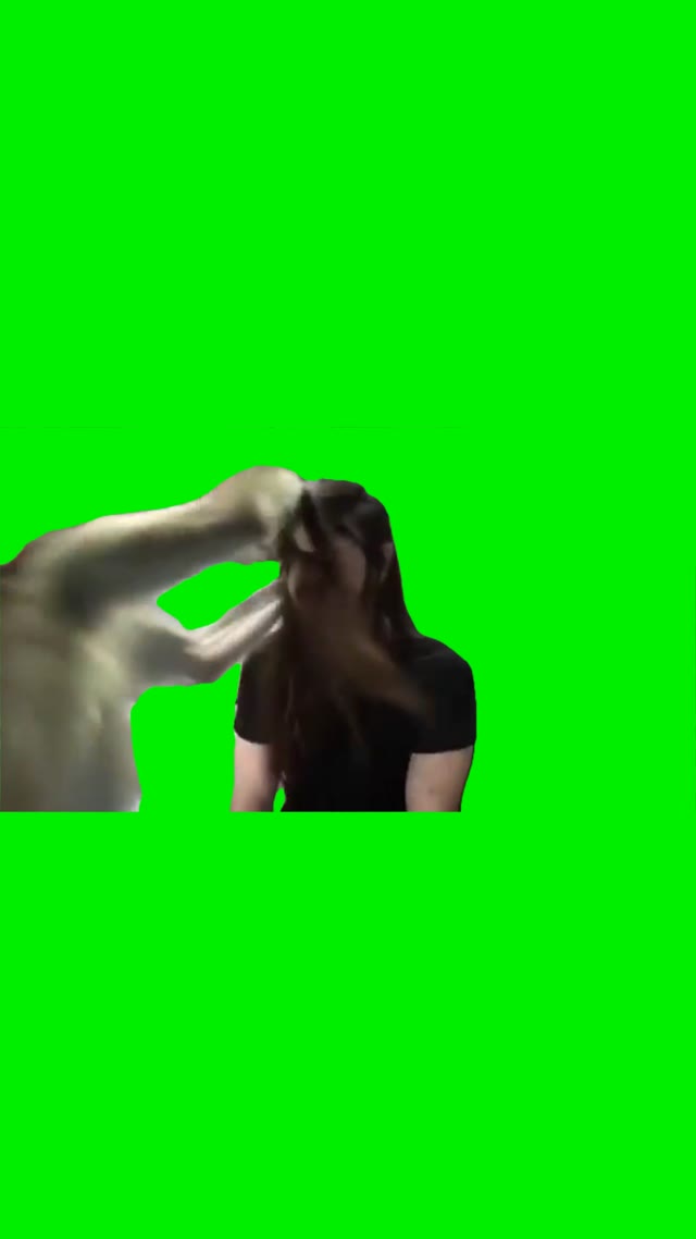 Monkey attacks green screen