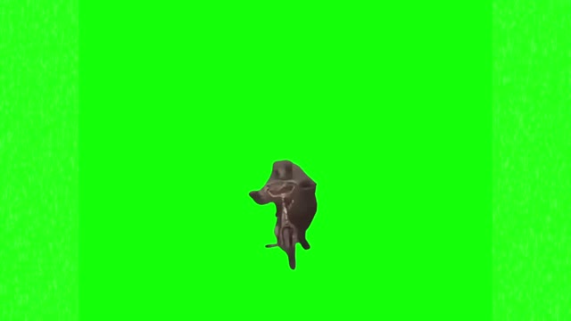 Monkey riding a bike green screen