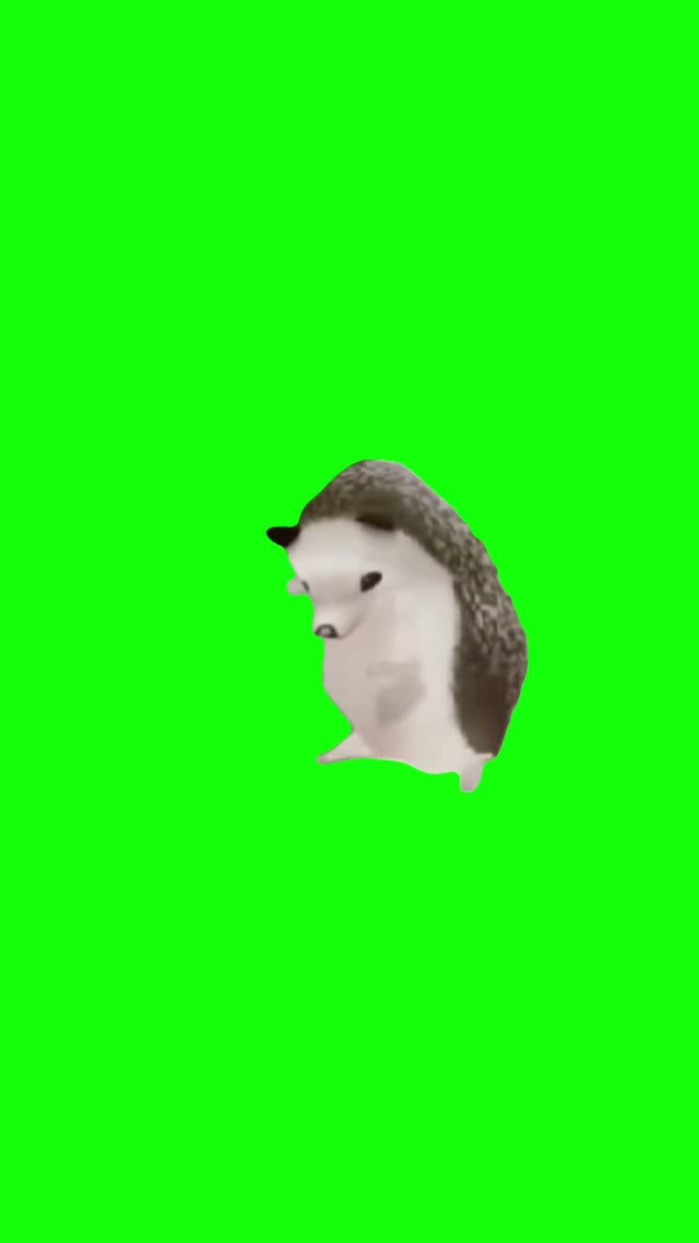 Mother Father Gentleman Hedgehog green screen