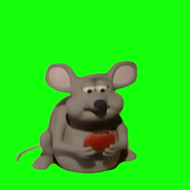 Mouse eating food green screen