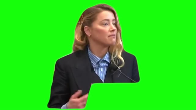 My Dog Stepped on a Bee green screen