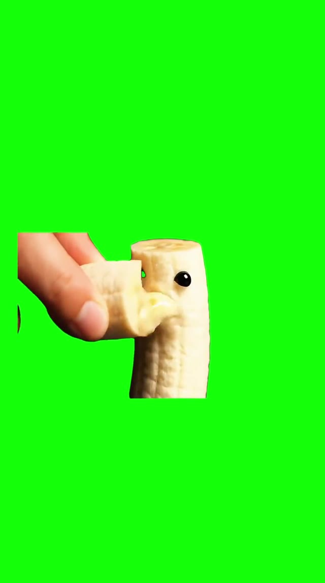 Niche fruit eating  green screen