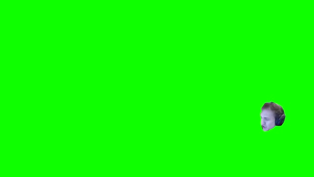 Ninja what the F did you say to me you little green screen