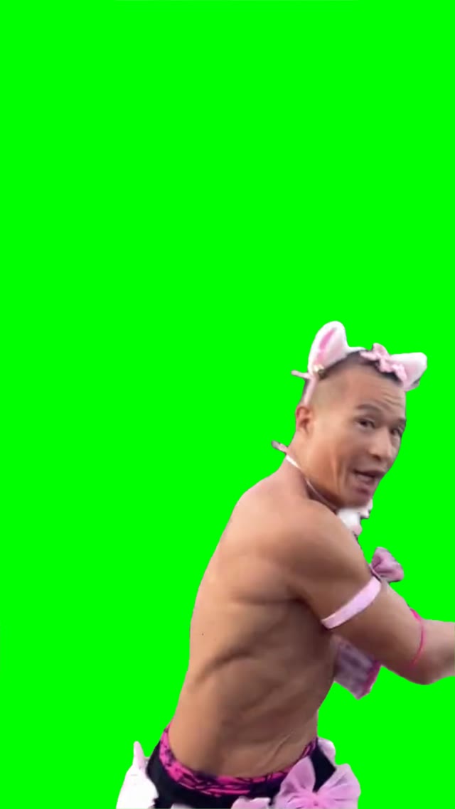 Nya arts green screen