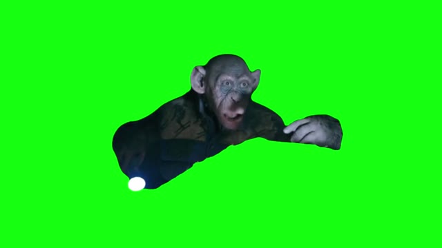 Oh No Planet of the Apes green screen