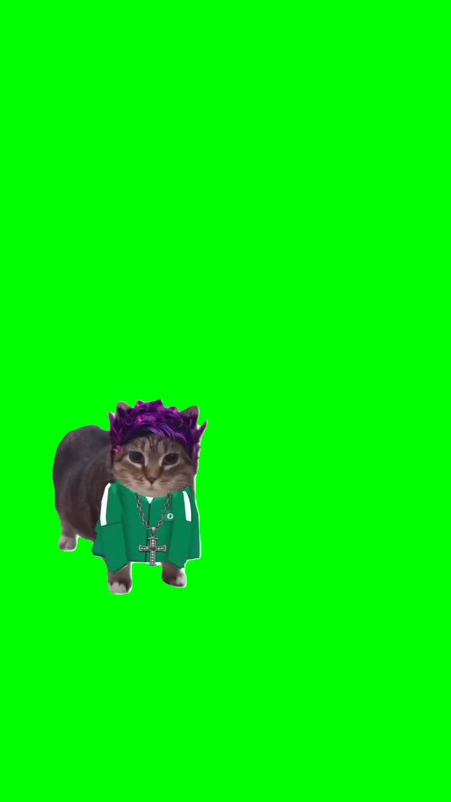 Oiiiaaa cat around song green screen