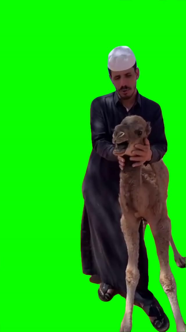Out of breah Camel green screen