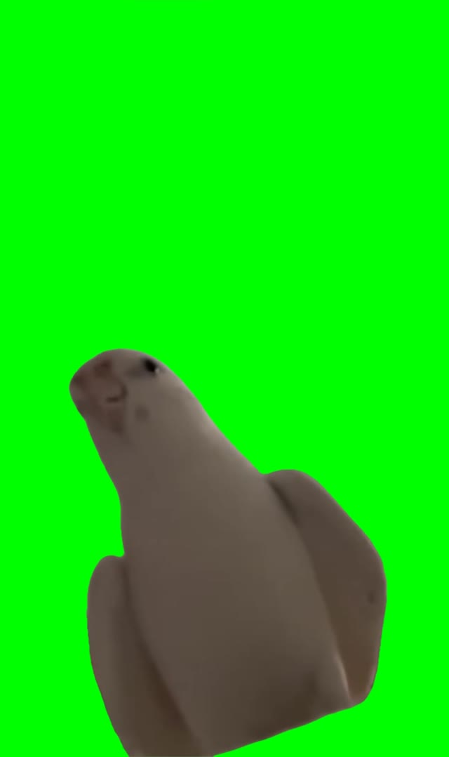 Parot Iphone Alarm green screen