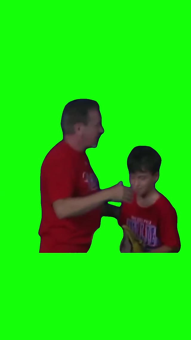 Philly Baseball Karen  green screen