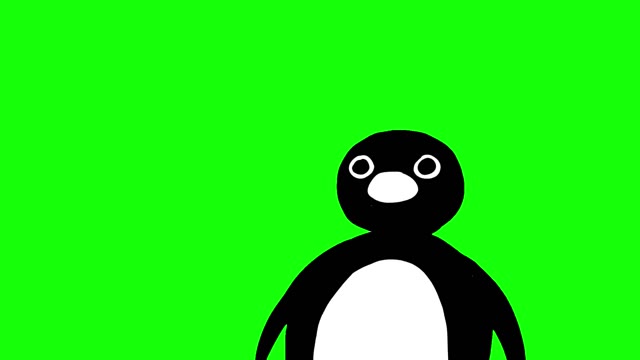 Pingu Noot Noot green screen