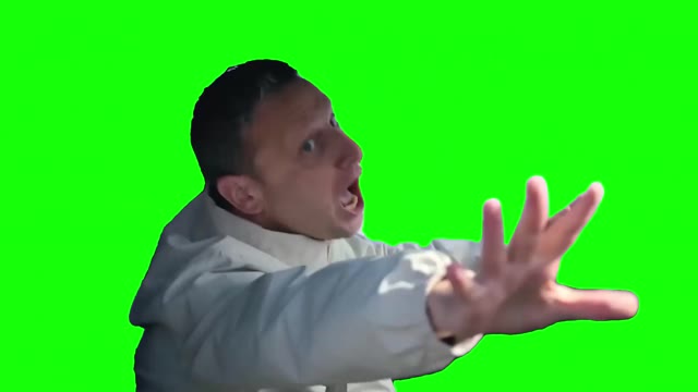 Please Let Me Go First Im Doing Something Tim Robinson green screen
