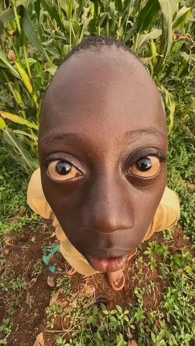 Rango Tenge Tenge Another African Dance green screen