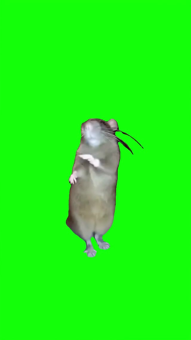 Ratchata dance green screen
