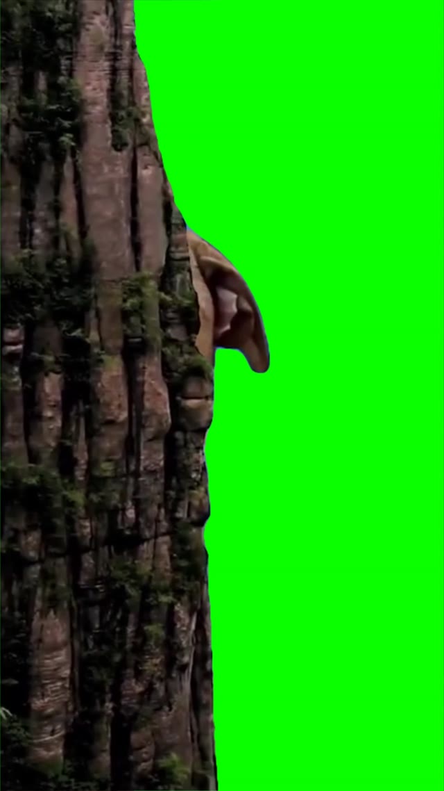 Rizz dog green screen