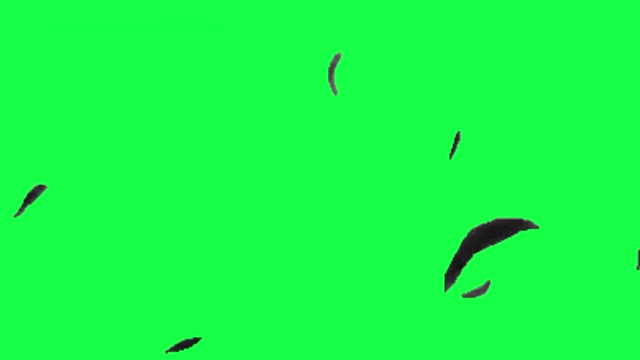 Ryuk Death Note Anime green screen