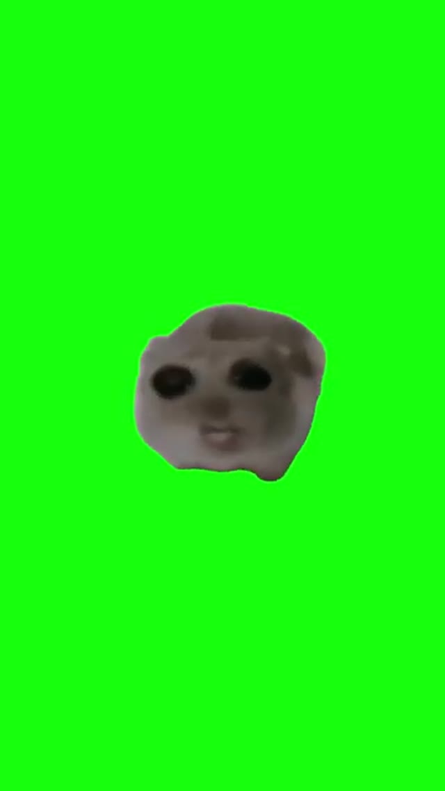 Sad Hamster Cotton Eye Joe green screen