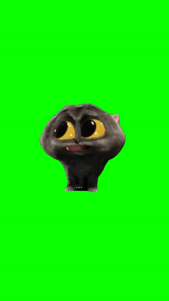 Scatman cat green screen