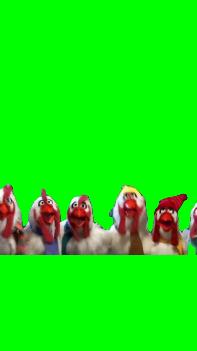 Singing chickens green screen